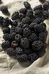 Raw Black Organic Blackberries
