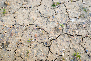 Cracked earth close up view 