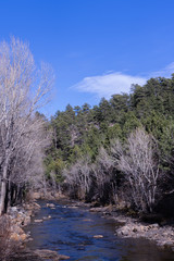 A water creek along the trees and rocks