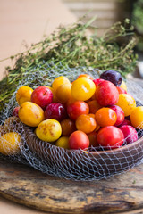 Colorful cherry plums. Yellow, red berries known as myrobalan plum. Raw vegan vegetarian sweet dessert for breakfast or lunch. Organic harvest product from permaculture farm