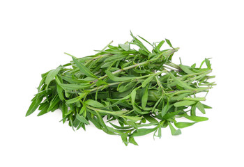 french tarragon isolated on white background