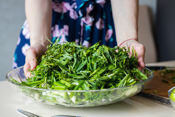 Woman hands mix fresh herbs in glass bowl preparing salad or lunch and dinner.  Raw vegan vegetarian healthy food. Cilantro, parsley, green onion sprouts, tarragon.