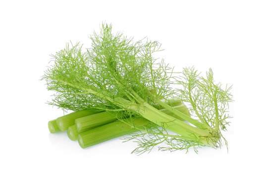 fresh fennel vegetable isolated on white background