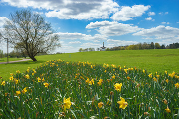 Willen lakeside park with Peace Pagoda temple in the background and flowers in the foreground 