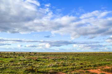 Fototapeta na wymiar The vast expanse of land on plains. Hay, NSW Australia. Background texture of green grassland and red dirt against cloudy sky.