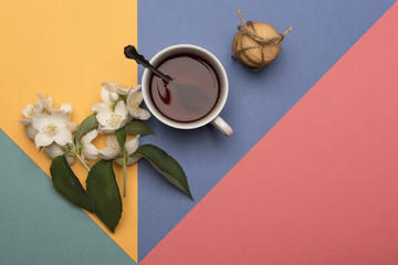  A cup of tea with jasmine flowers on a colored background. Top view.
