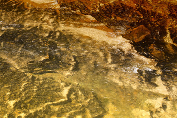 Roaring River in North Carolina