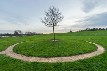 A single tree standing alone at Willen Lakeside Park with Peace Pagoda temple in the background in Milton Keynes,UK