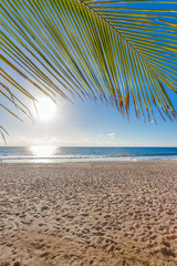 plage tropicale gorgée de soleil 