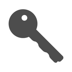 Key for pin tumbler lock. Vector.