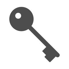Key icon. Vector.
