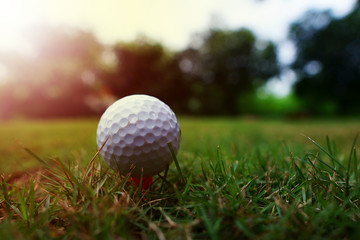 Golf ball on the lawn