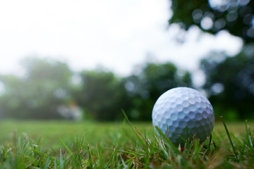 Golf ball on the lawn