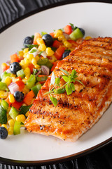 Grilled salmon fillet with salad of salsa from vegetables and blueberries close-up on a plate. vertical