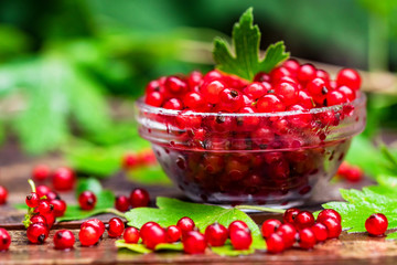 Ripe redcurrant in glass bowl close