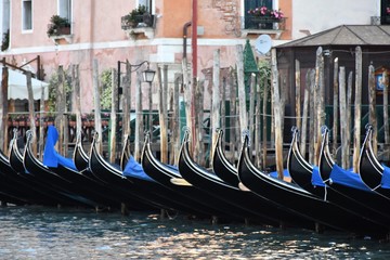 Venezia gondole in canal grande © maurizio