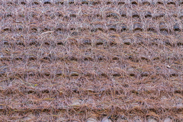 Roof tiles and pine background