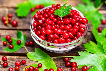 Ripe redcurrant in glass bowl close