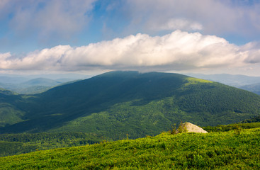 Fototapeta premium landscape with rocks on grassy alpine hillside of Carpathian mountain ridge. Gorgeous view of Polonina on fine summer weather