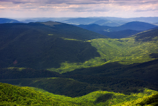 forested rolling hills of Carpathian mountains. gorgeous nature scenery on a cloudy summer day