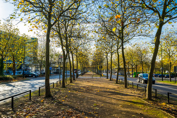 Pedestrian path at Midsummer Boulevard covered with yellow autumn leaves