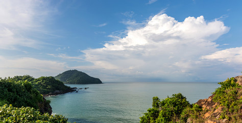 Sea view with rock and tree, tropical scenery