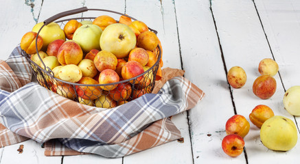Ripe tasty fresh apricots and apples in  woven metal basket