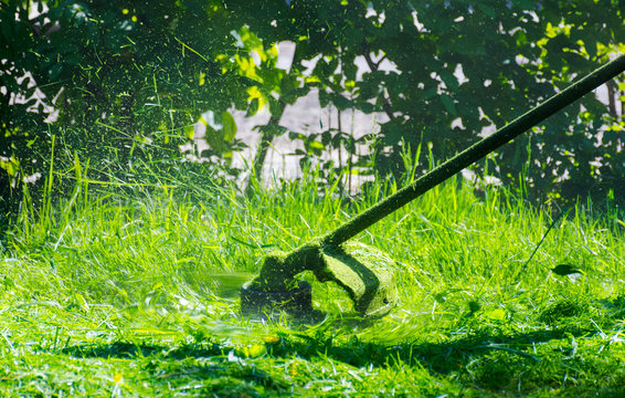 Close Up Shot Of Gasoline Trimmer Head With Nylon Line Cutting Fresh Green Grass To Small Pieces