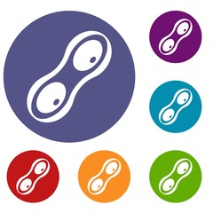 Peanut pods icons set in flat circle red, blue and green color for web