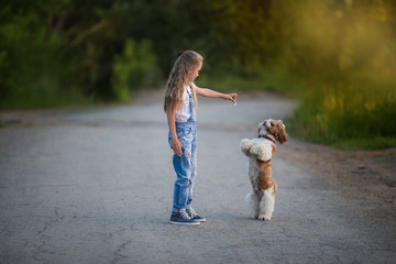 Fototapeta premium cute little girl is playing and training a little dog in the summer in the park