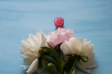 Delicate white and pink peonies and nail polish on a blue background