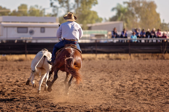 Camp Draft Event , Rounding Up Cattle - Unique To Australia