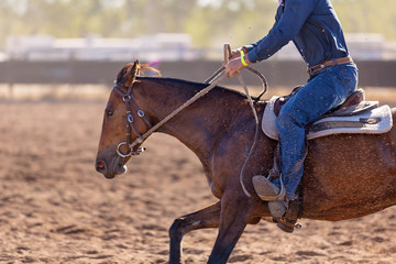 Camp Draft Event , Rounding Up Cattle - Unique To Australia