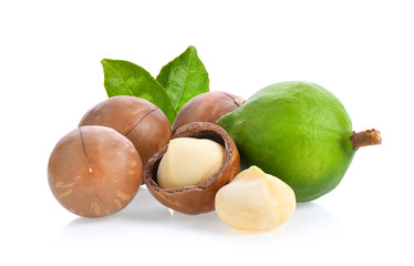 macadamia nuts with leaf isolated on white background. - obrazy, fototapety, plakaty