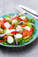 Vegetable salad with cheese mozzarella, tomatoes, basilikum and spice.