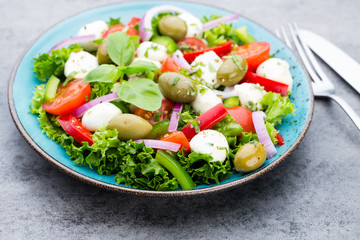 Vegetable salad with cheese mozzarella, tomatoes, basilikum and spice.
