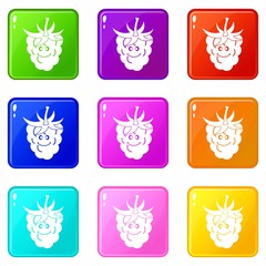 Fototapeta na wymiar Ripe fresh smiling raspberry icons of 9 color set isolated vector illustration
