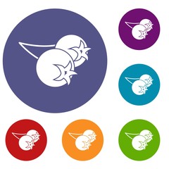 Chokeberry or aronia berry icons set in flat circle red, blue and green color for web