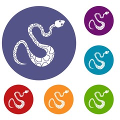 Black spotted snake icons set in flat circle red, blue and green color for web