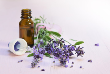 fresh lavender flowers and essential herbal oil in a glass bottle on light rose wood, copy space,...