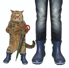 The cat with an umbrella cane and a girl are wearing in blue rubber boots. White background.