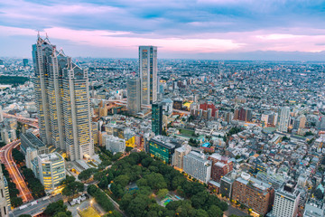 Fototapeta na wymiar 新宿高層ビルから見る東京の夜景