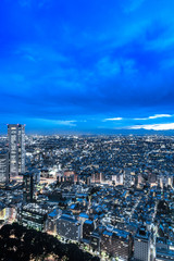 Obraz premium 新宿高層ビルから見る東京の夜景