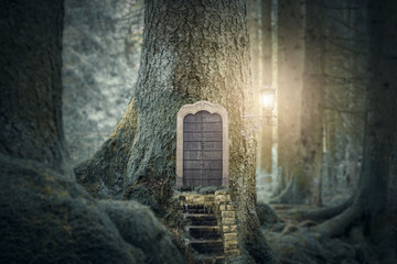 fairytale forest house