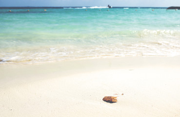 Sea wallpaper from the Caribbean sea shore. Colorful seascape with vintage effect applied.