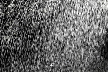 Summer rain in the garden on dark background. Abstract texture.