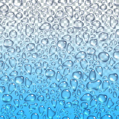 Water rain drops or steam shower isolated on transparent background. Realistic pure droplets condensed. Vector clear vapor water bubbles on window glass surface for your design.