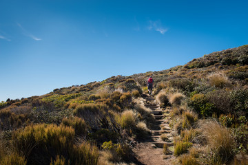 Hiking Pouakai Track in Egmont National Park, Taranaki New Zealand