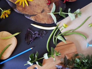 Yellow flowers, garlic, mint, egg, asparagus beans for cooking on cutting boards, black and brown packaging paper, top view