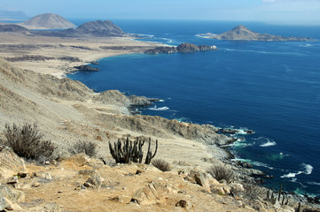 Parc national Pan de Azucar au Chili - 1